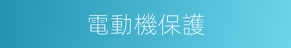 電動機保護的同義詞