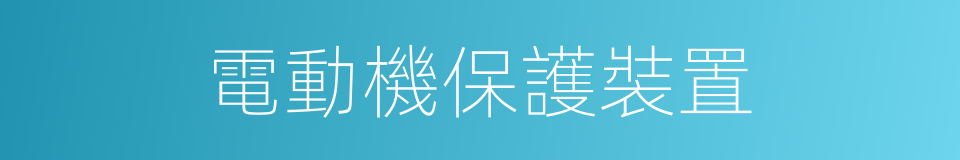 電動機保護裝置的同義詞