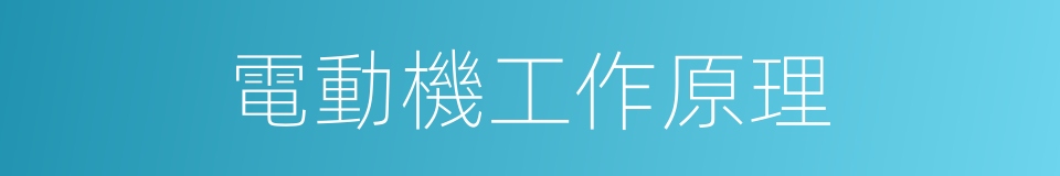 電動機工作原理的同義詞