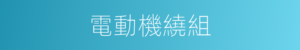 電動機繞組的同義詞