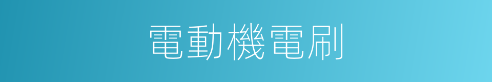 電動機電刷的同義詞