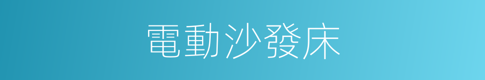 電動沙發床的同義詞