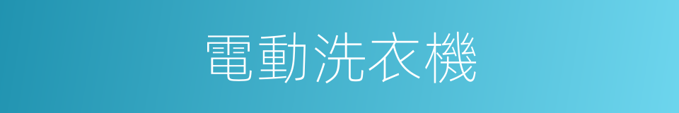 電動洗衣機的同義詞