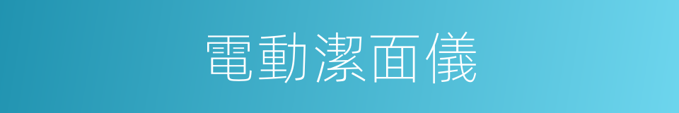 電動潔面儀的同義詞