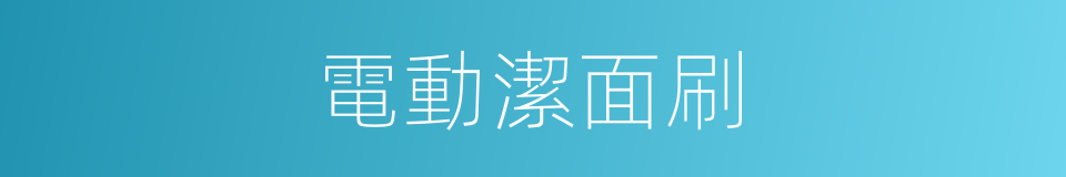 電動潔面刷的同義詞