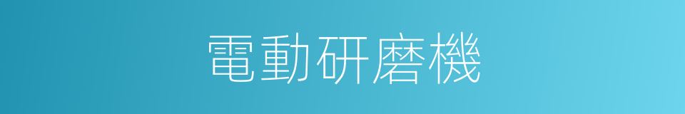 電動研磨機的同義詞