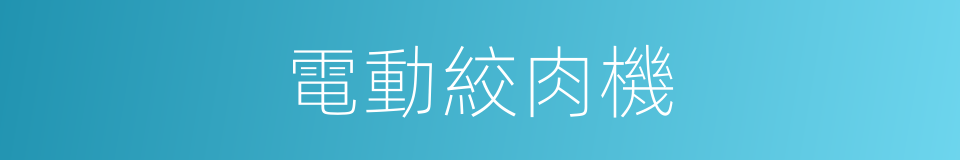 電動絞肉機的同義詞