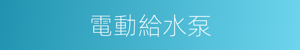 電動給水泵的同義詞