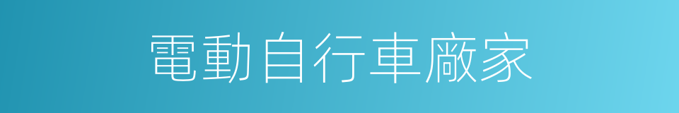 電動自行車廠家的同義詞