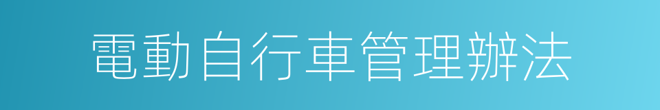 電動自行車管理辦法的同義詞