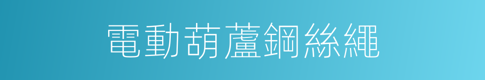 電動葫蘆鋼絲繩的同義詞