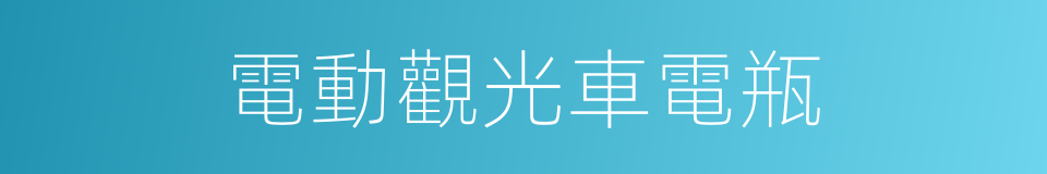 電動觀光車電瓶的同義詞