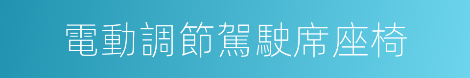電動調節駕駛席座椅的同義詞