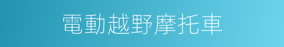 電動越野摩托車的同義詞