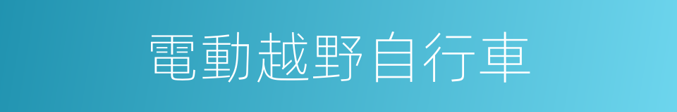 電動越野自行車的同義詞