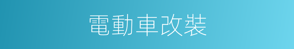 電動車改裝的同義詞