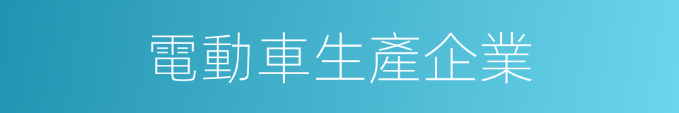 電動車生產企業的同義詞