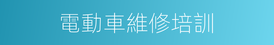 電動車維修培訓的同義詞