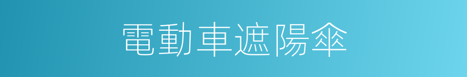 電動車遮陽傘的同義詞