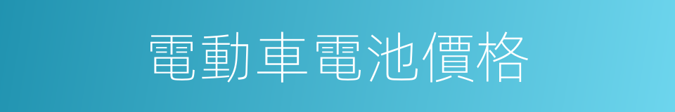 電動車電池價格的同義詞