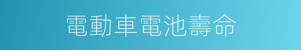 電動車電池壽命的同義詞