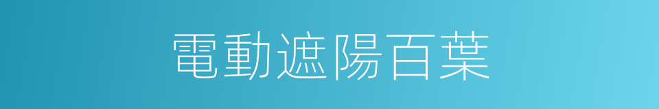 電動遮陽百葉的同義詞