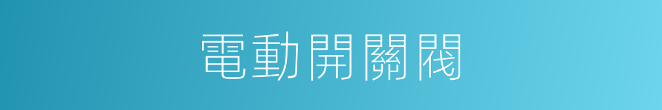 電動開關閥的同義詞