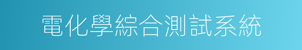 電化學綜合測試系統的同義詞