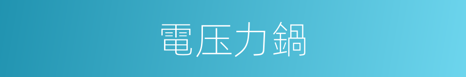 電压力鍋的同義詞