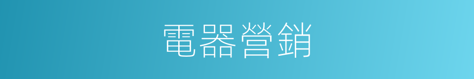 電器營銷的同義詞