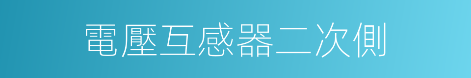 電壓互感器二次側的同義詞