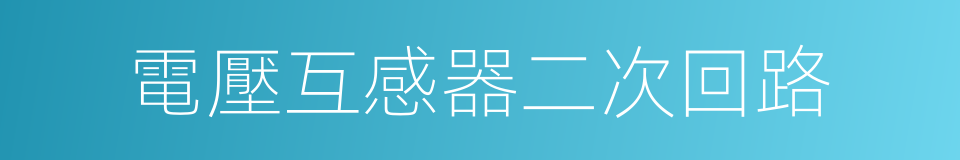 電壓互感器二次回路的同義詞