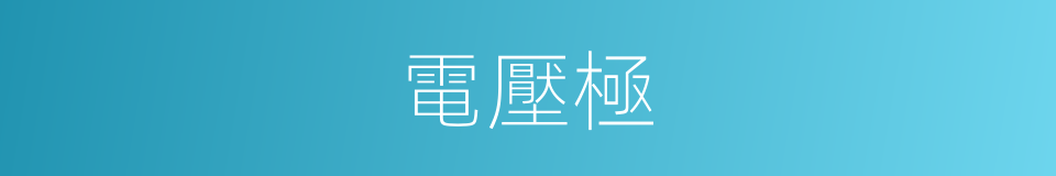 電壓極的同義詞