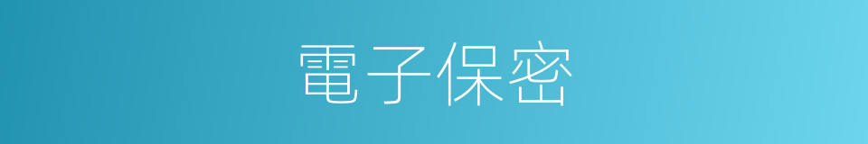 電子保密的同義詞