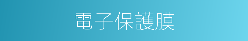 電子保護膜的同義詞