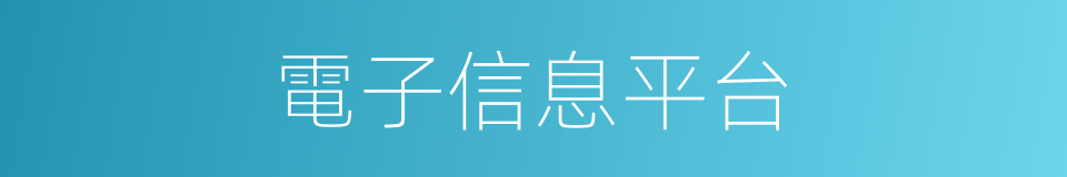 電子信息平台的同義詞
