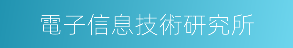 電子信息技術研究所的同義詞