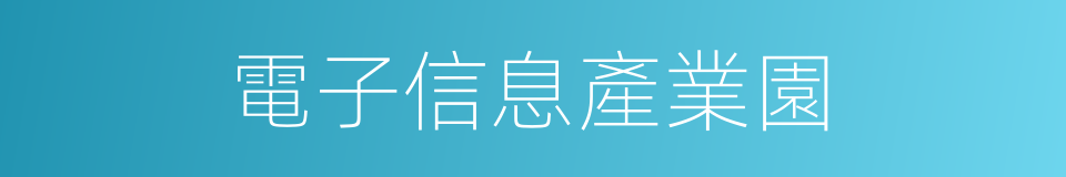 電子信息產業園的同義詞