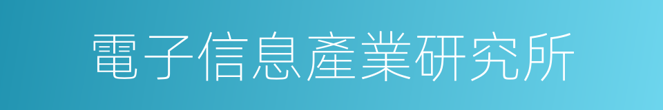 電子信息產業研究所的同義詞