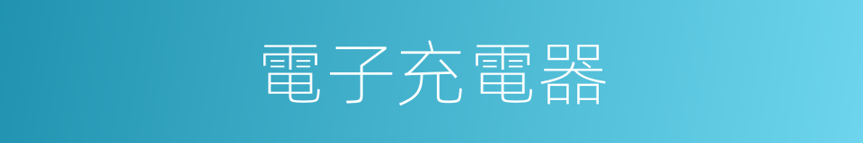 電子充電器的同義詞