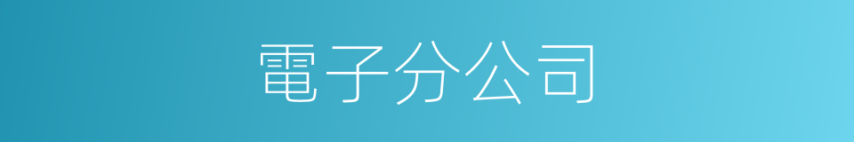 電子分公司的同義詞