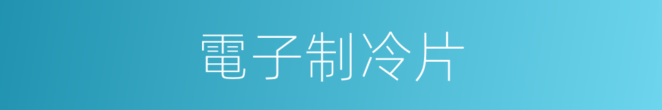 電子制冷片的同義詞