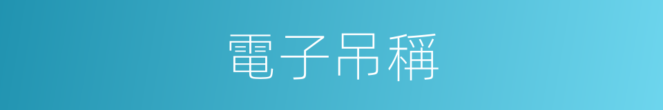 電子吊稱的同義詞
