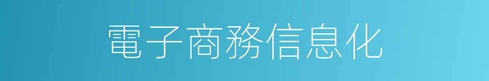 電子商務信息化的同義詞