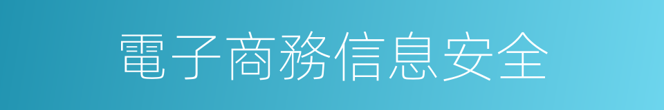 電子商務信息安全的同義詞