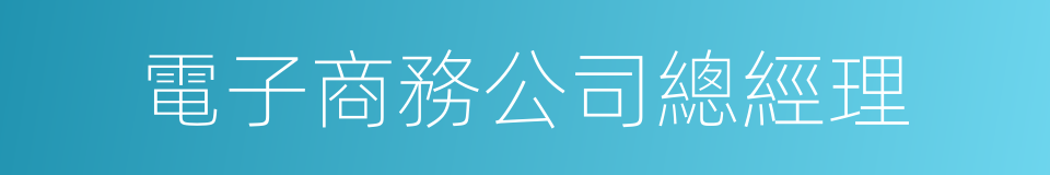 電子商務公司總經理的同義詞