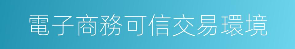 電子商務可信交易環境的同義詞