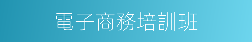 電子商務培訓班的同義詞