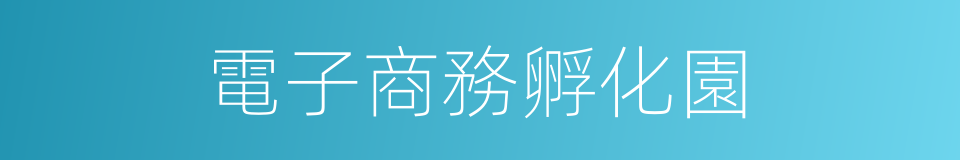 電子商務孵化園的同義詞