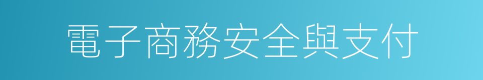 電子商務安全與支付的同義詞